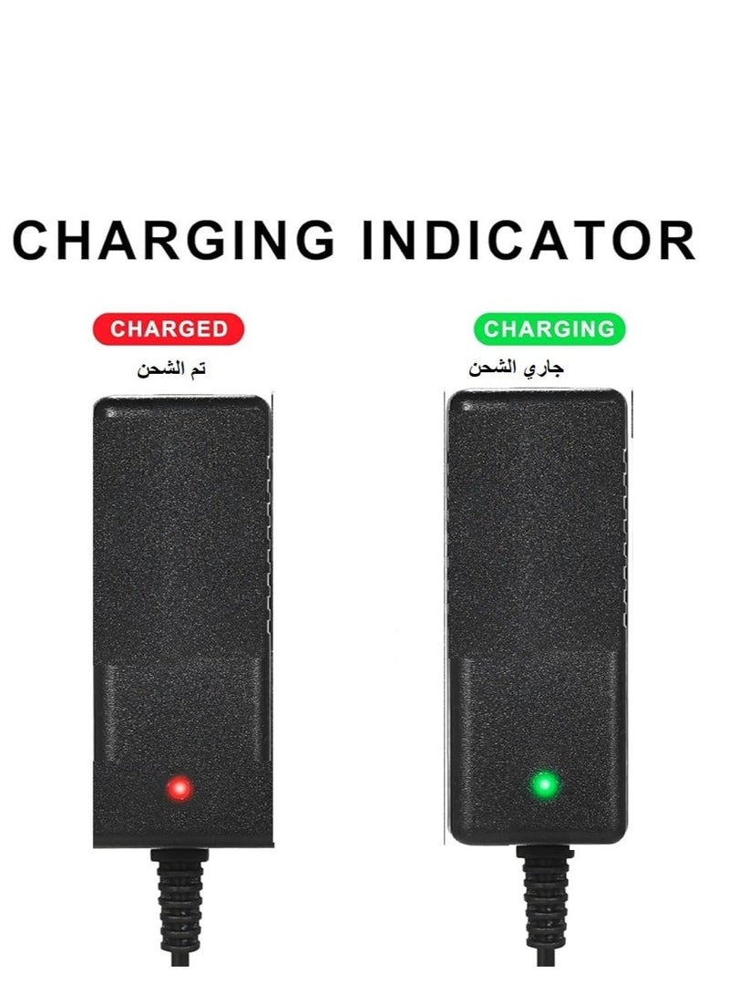 شاحن 6 فولت 1000 امبير - Image 3